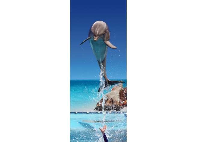 Наклейка на дверь Дельфин, прыгающий из воды